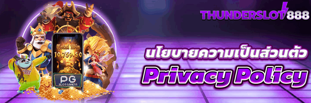 นโยบายความเป็นส่วนตัว